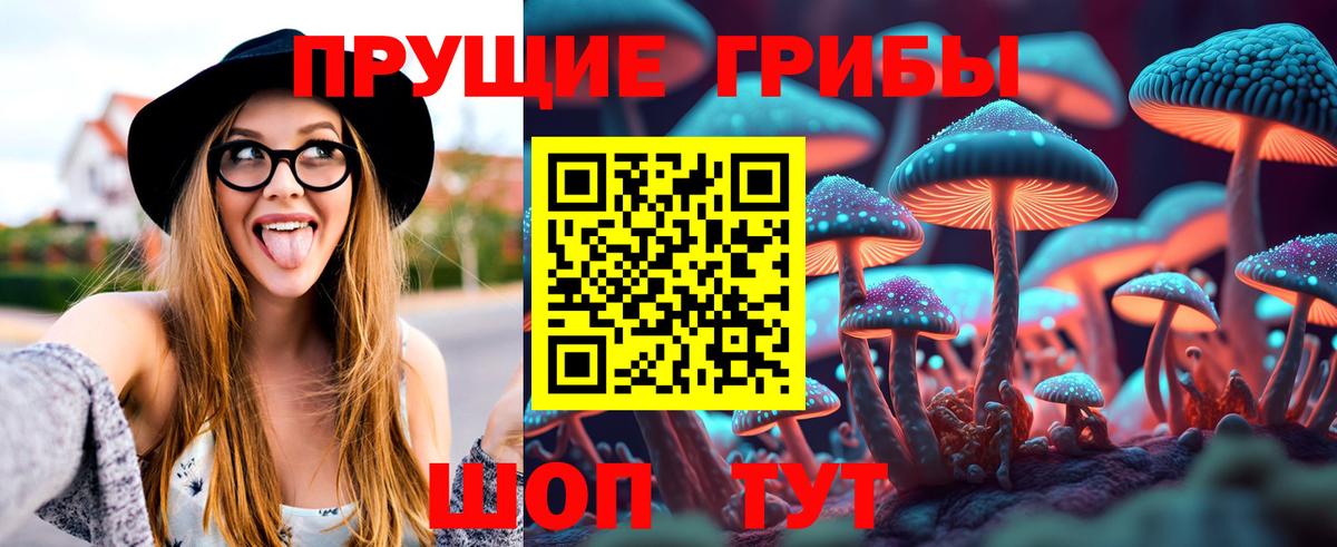 Псилоцибиновые грибы мухоморы Алексин
