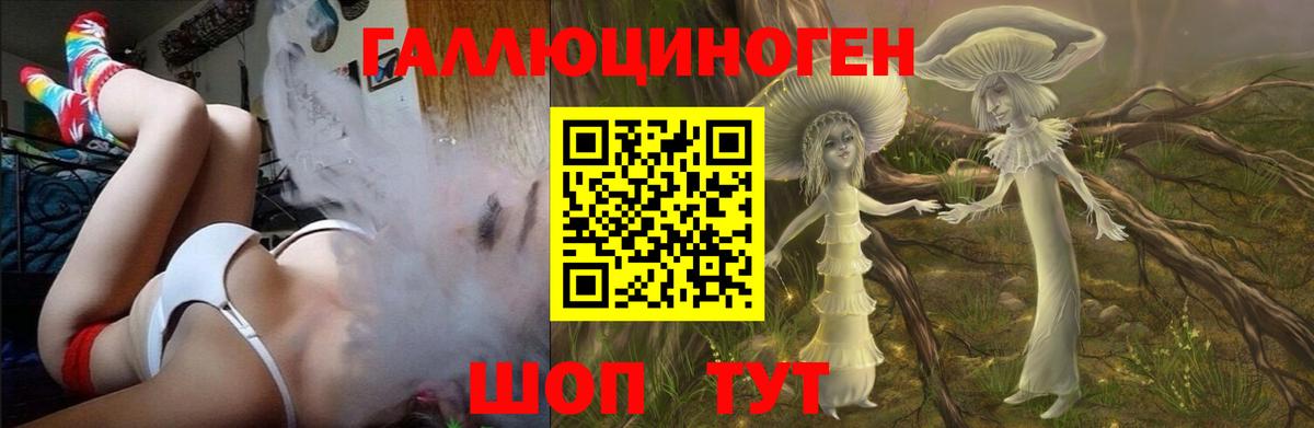 Алексин  Галлюциногенные грибы Psilocybe  Вход с VPN 